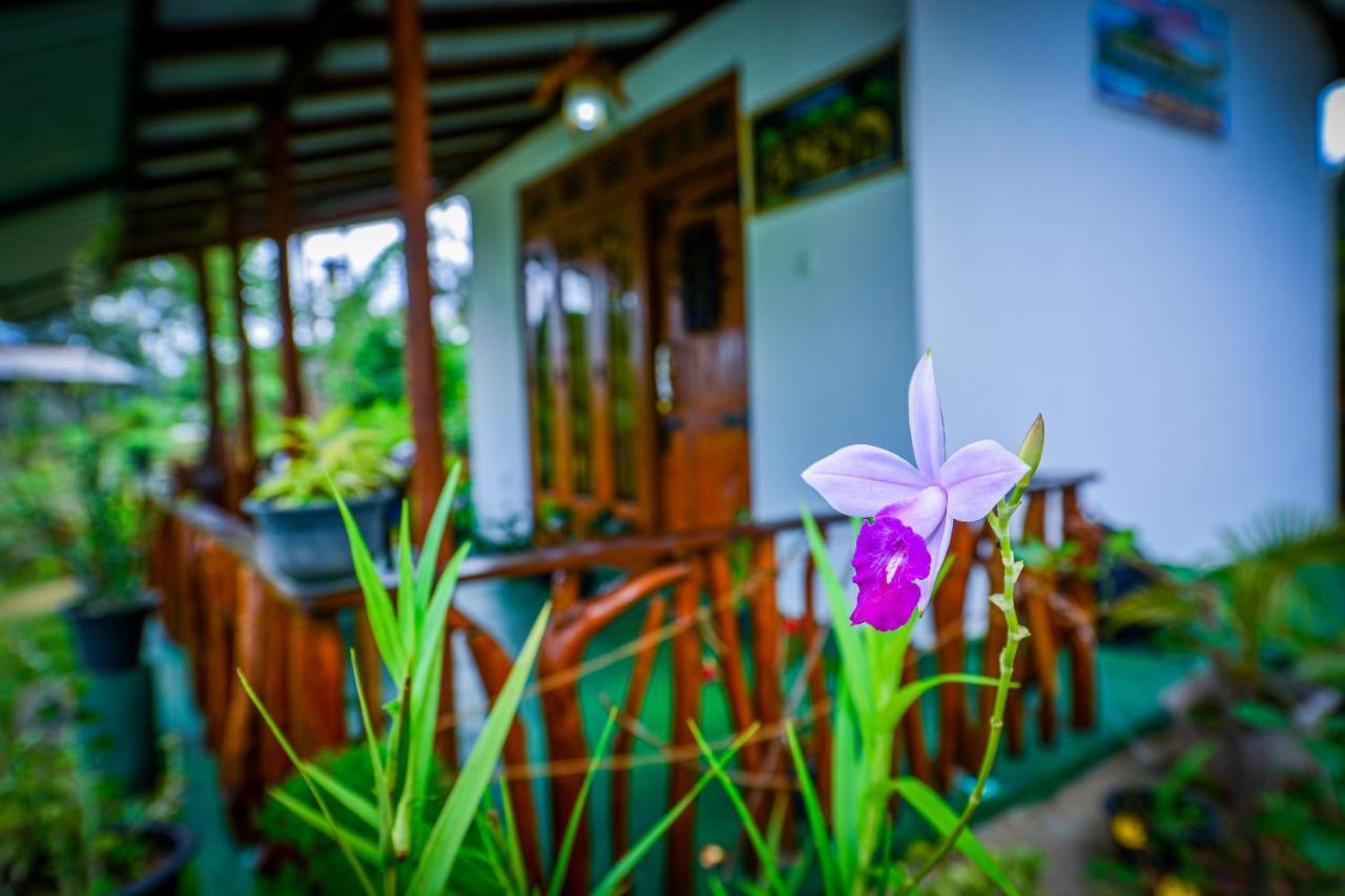 Astral Zone Cottage Ella Kültér fotó